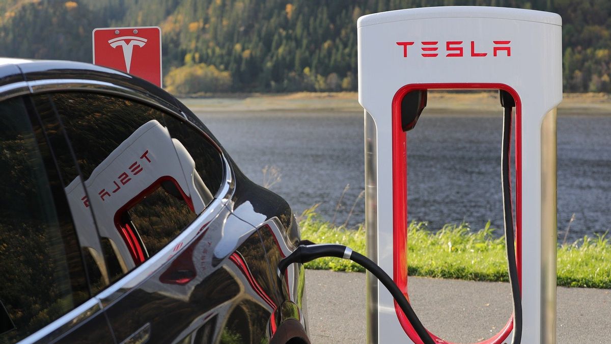 Tesla Pilih India Dibanding Indonesia, BKPM: Jangan Pesimis, Barang Ini Jalan Terus