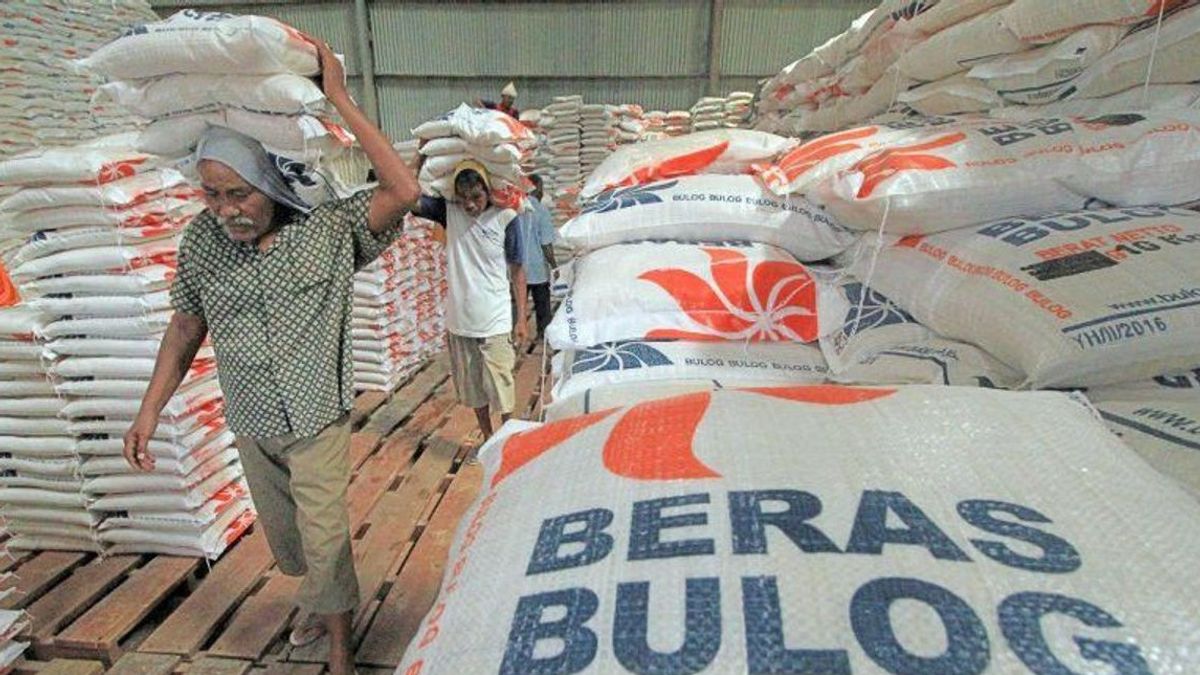 Dukung Ekspor Beras, DPR Ingatkan Risiko Ketimpangan dan Krisis Pangan