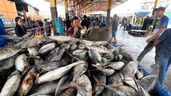 Minister Of KKP: Fish Stocks From Karangsong Can Supply Christmas And New Year's Moments Needs