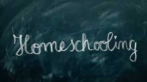 Pendapat Kak Seto Tentang "Homeschooling" Saat Ini