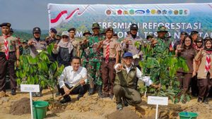 Kemenhut Mulai Restorasi TN Tesso Nilo Targetkan Pemulihan 66 Ribu Hektare