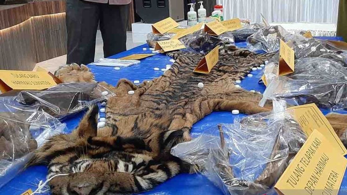 Prosecutor Demands Father-son Defendant Seller Of Tiger Skin 2 Years In Prison