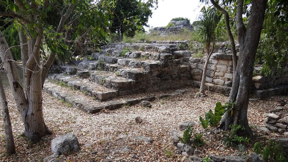 Arkeolog Temukan Kota Maya Kuno di Lokasi Konstruksi, Ada Reruntuhan Istana hingga Piramida