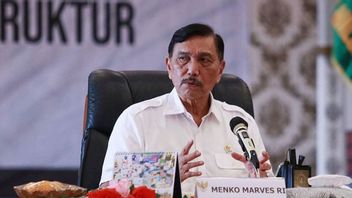 Hard! Coordinating Minister Luhut To Hariz Azhar: No Absolute Freedom, This Defends My Good Name!