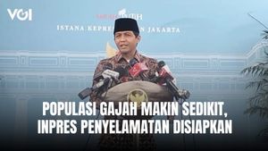 Presiden Prabowo Siapkan Inpres dan Kepres untuk Penyelamatan Populasi Gajah dan Hutan Nasional