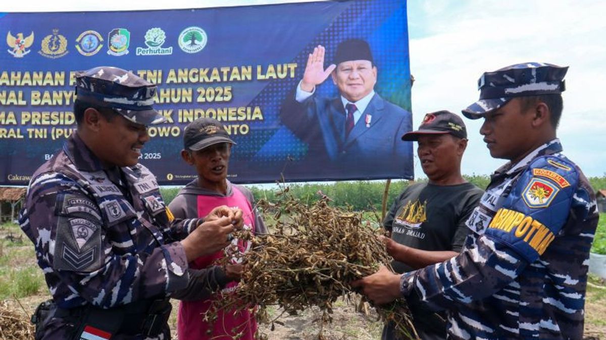 TNI ALは、いくつかの地域で2〜4トンの大豆を収穫できると主張