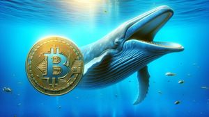 Whale Crypto: فهمها وعلمها في سوق التشفير