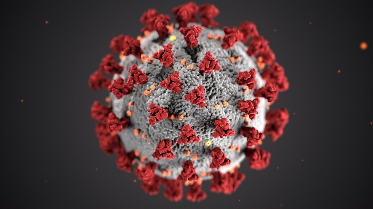Peneliti Sebut Virus Corona Sub Varian Omicron BA.2 Mungkin Lebih Infeksius dan Berbahaya, Waspada! 
