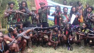 Baku Tembak dengan TNI, 5 KKB Tewas di Papua Pegunungan