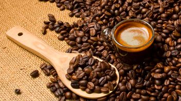 cler le café dans le sud du sud, ce n'est pas mauvais pour l'environnement