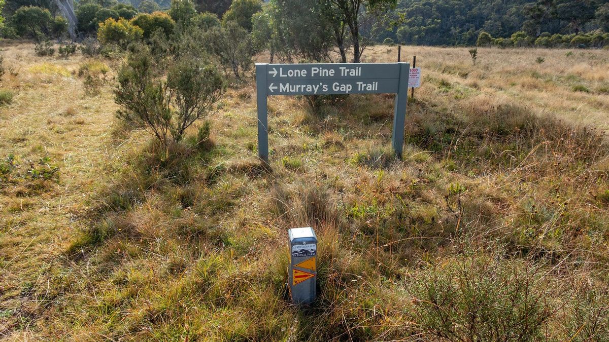 ar surviv après 13 jours de disparition dans le parc national et survivre avec deux graines de Granola