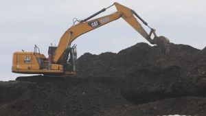 Ekspor Batu Bara Turun, CPO dan Besi-Baja Justru Tumbuh Positif