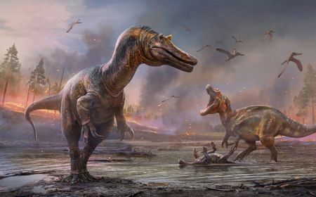 Ilmuwan Inggris Ungkap Dua Spesies Baru Spinosaurus di Isle of Wight Inggris