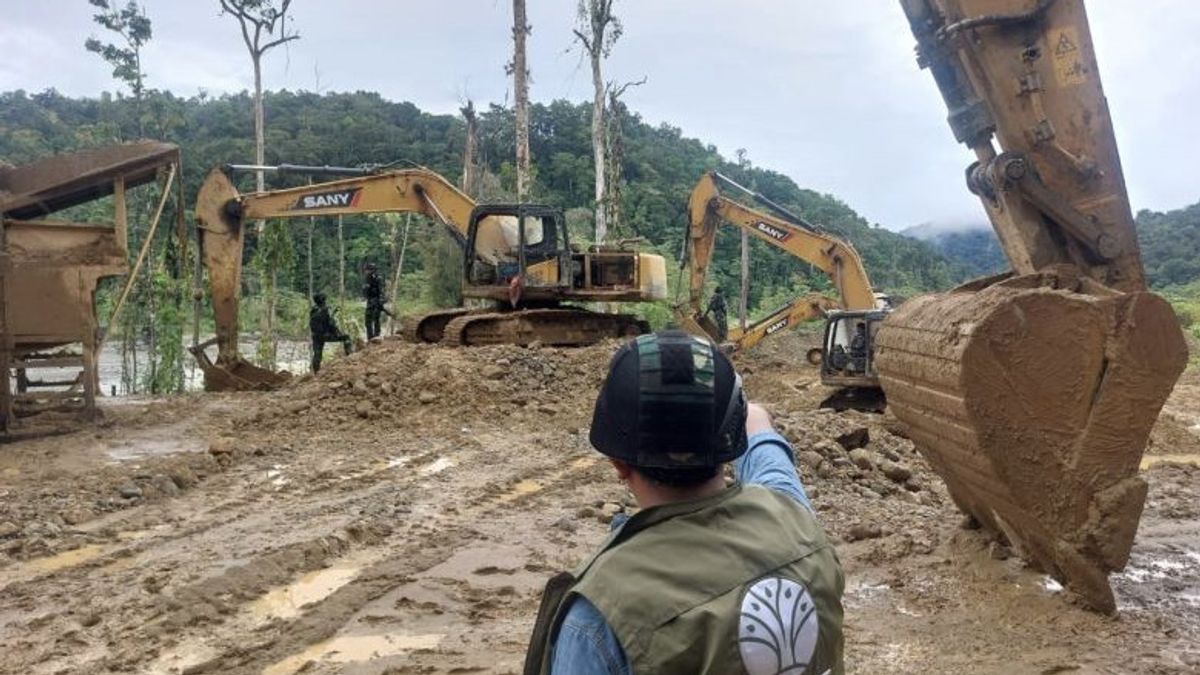 Kemenhut Tetapkan 4 WNA Tersangka Kasus Tambang Ilegal di Nabire