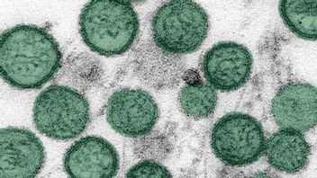 イギリス、2人の住民がハンタウイルスに感染したことを確認