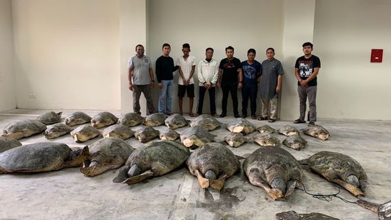 Police Thwart The Smuggling Of 30 Green Turtles