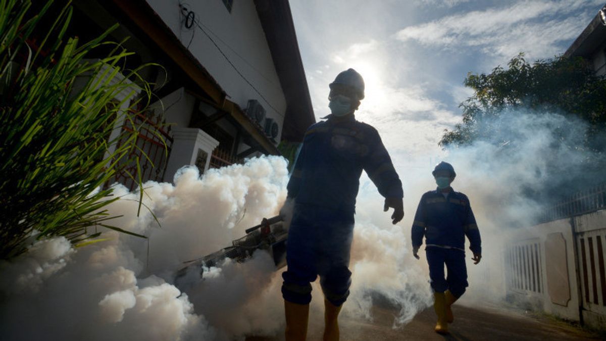 NTB Dompu Tangani 35 cas de dengue, 2 enfants décédés