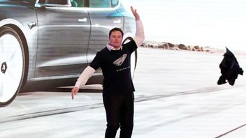 Elon Musk à L’élection De 2016: « Je Ne Vais Nulle Part »