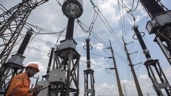 Save Up To 59% Of Operational Costs, Palm Oil Companies In Riau Switch To Using PLN Electricity