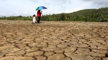 Jakarta Often Modified Weather This Month, BMKG Says Residents Don't Need To Worry About Drought