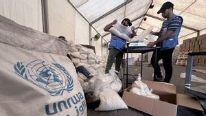 Amerika Serikat Akui Peran UNRWA Tidak Tergantikan, Tapi Penghentian Pendanaan Bisa Jadi Permanen