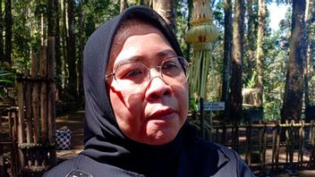 Imbas Travel Warning dari Sejumlah Negara, DPR: Tidak akan Ganggu Sektor Wisata