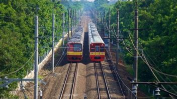 Fallen Tree, Tanah Abang-Sudimara Commuterline Aller-retour Itinéraire Complètement Inactif