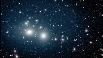 Le télescope Euclid trouve 1,5 billion d'étoiles de Yatim Piatu dans le groupe galaxique Persée