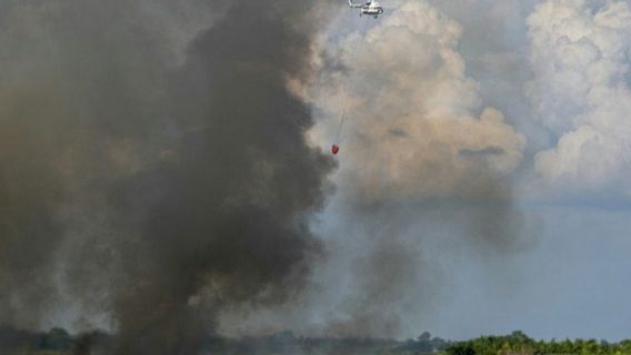南苏门答腊省3个地区出现森林和土地火灾