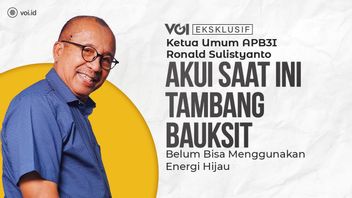 VIDEO: Exclusive, APB3I General Chairman Ronald Sulistyanto Asks Not to Equate Bauxite and Nickel Mining Regarding Downstreaming