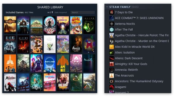 Steam lance une fonctionnalité de familles de Steam, peut jouer à des jeux en ligne