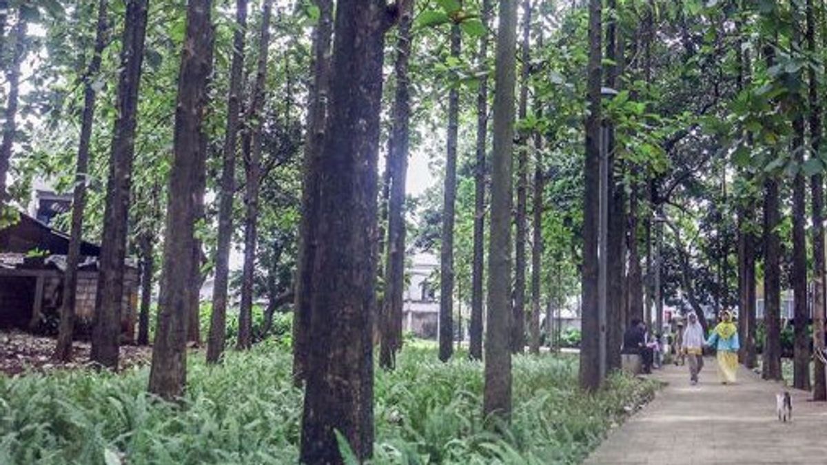 DKI雅加达省政府2024年在三个地区建造10个公园