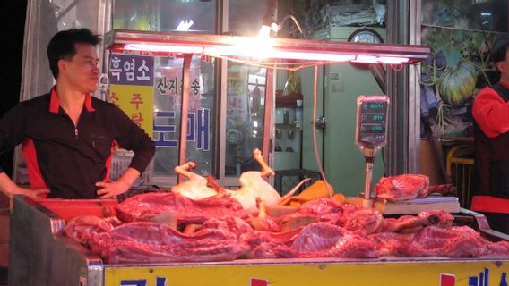 South Korea Plans To Ban Dog Meat Consumption, Ruling Party: Time To End Social Conflicts And Controversy