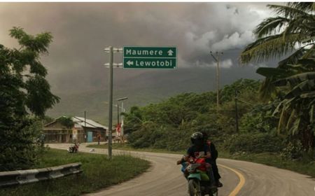 6 Orang Meninggal Akibat Erupsi Gunung Lewotobi Laki-laki di Flores NTT