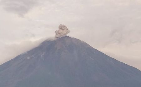 Sejak Sabtu Pagi Ini, Semeru Erupsi Beberapa Kali dengan Tinggi Letusan hingga 700 Meter