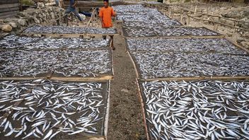 KKP يحفز برنامج الاقتصاد الأزرق يحفز نمو صناعة المصب في قطاع مصايد الأسماك