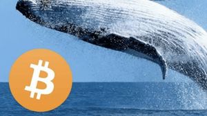 <i>Whale</i> Bitcoin Cairkan 12.000 BTC, Pasar Kripto Masih Aman?