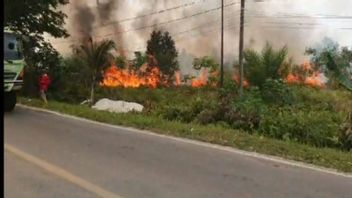 1 造成帕朗卡拉亚烟雾雾的森林和陆地火灾的肇事者,警察局长