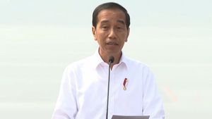 Ahead Of Purnatugas, Jokowi Inaugurates 2 Trans Sumatra Toll Roads Worth IDR 11.92 T