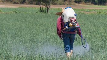 When Ideally Sprayed Liquid Organic Fertilizer? Here's The Guide