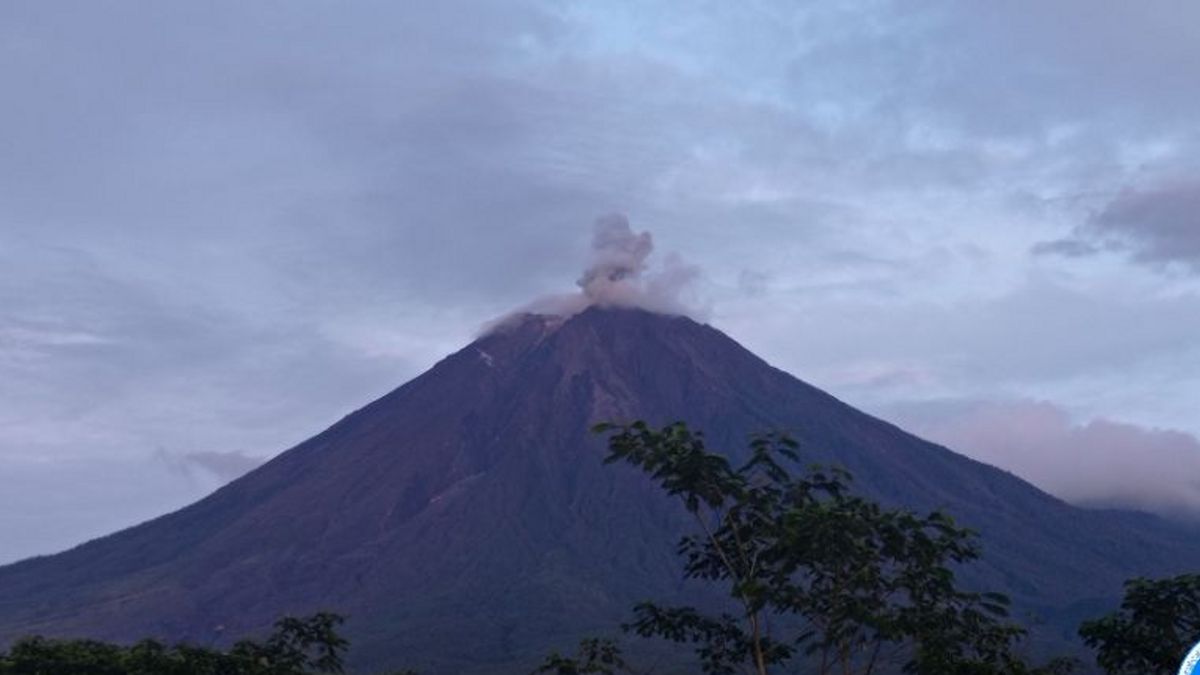 Mount Canaon Eruption Increases: Philippines Evacuates Residents, Flights Stopped