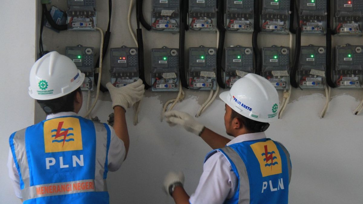 PLN's Denial Of Electricity Cross Subsidy