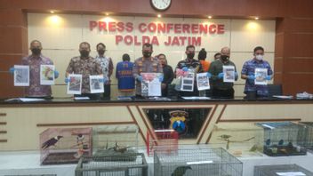 东爪哇地区警方废除买卖数百只受保护动物的做法
