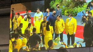 Kader Jadi Relawan Anies, Tokoh Muda Golkar Desak Airlangga Deklarasikan Nama Capres 2024