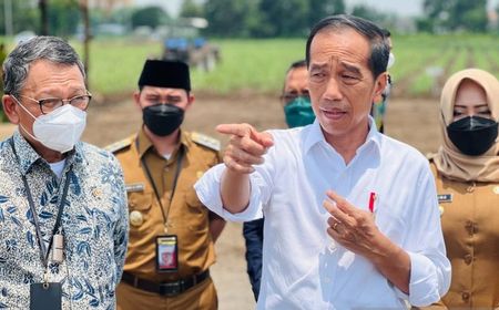 Target Swasembada Gula, Jokowi Mengaku Sudah Siapkan 700 Ribu Hektare Lahan Tebu