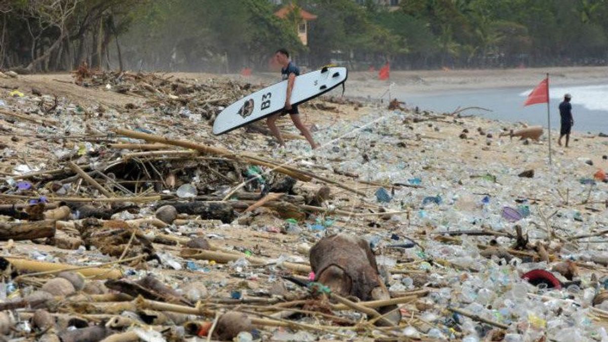 When The 'Mermaid' Appears On Kuta Beach Bali, Posing In The Middle Of Trash