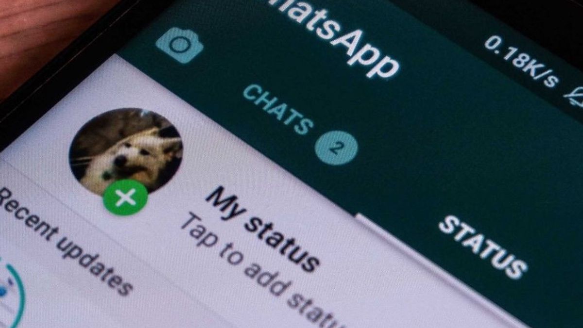 Cara Download Status WhatsApp Lewat Ponsel Android Paling Mudah