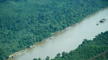 الدفعة 10 من الصندوق العالمي للطبيعة بالي لديها مدخلات لإدارة الأنهار في كاليمانتان