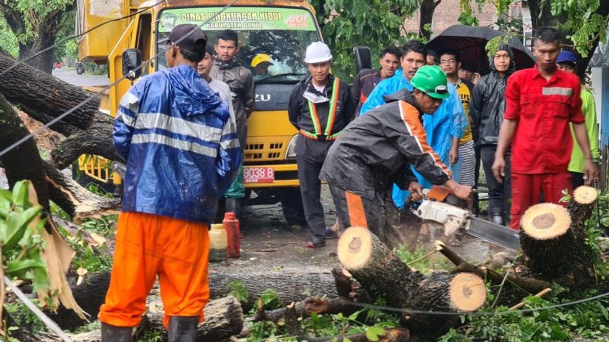 Cuaca Ekstrem Hujan Deras dan Angin Kencang, Puluhan Pohon Tumbang di Makassar