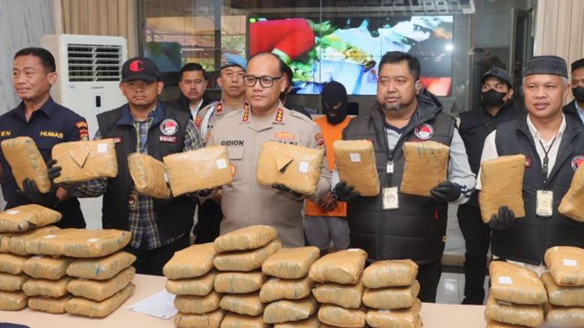 Pays de 1 million de roupies pour une fois envoyé, deux courriers ont été arrêtés pour distribuer de 77 kg de marijuana à Bekasi